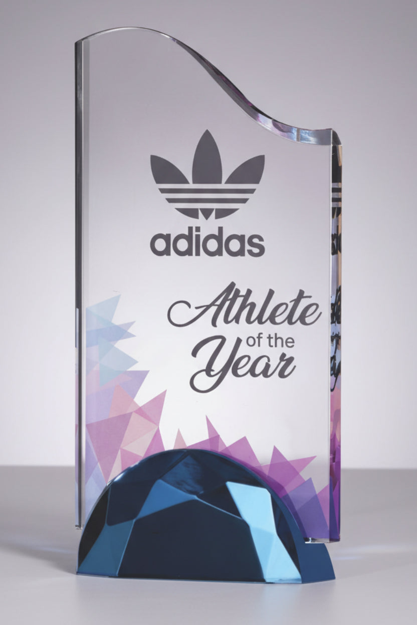 Wave Acrylic Award with Semi-Circle Base