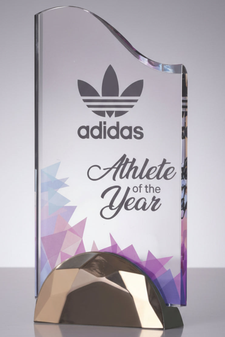 Wave Acrylic Award with Semi-Circle Base